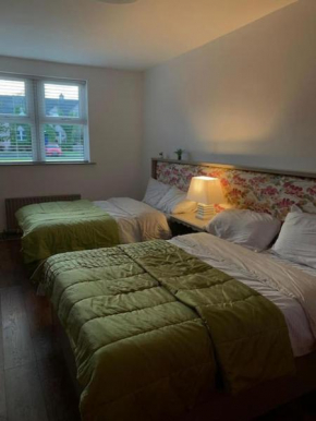 Hotels in Clarecastle